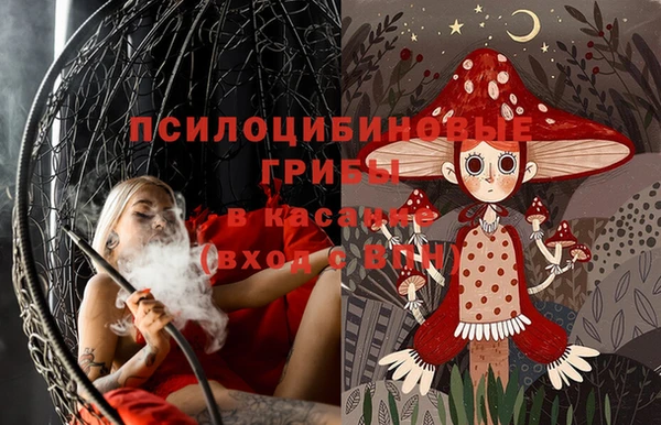 молекула духа Киренск